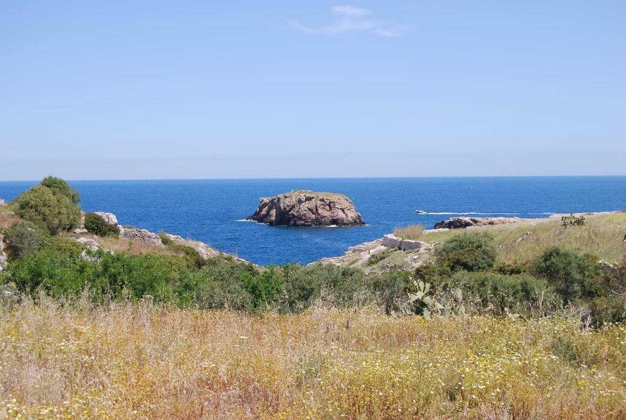 הוילה פולינאנו א מארה Eagle'S Nest מראה חיצוני תמונה